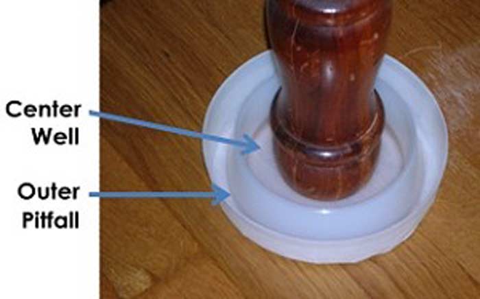 bed bug interceptor climp up and cup