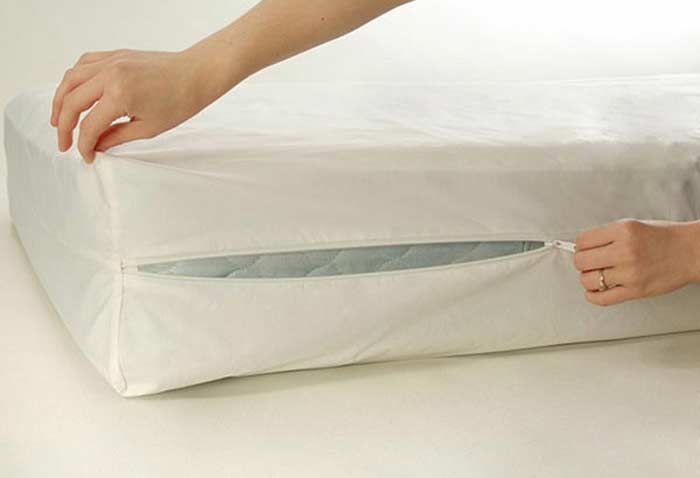 Mattress-Protector for bed bugs