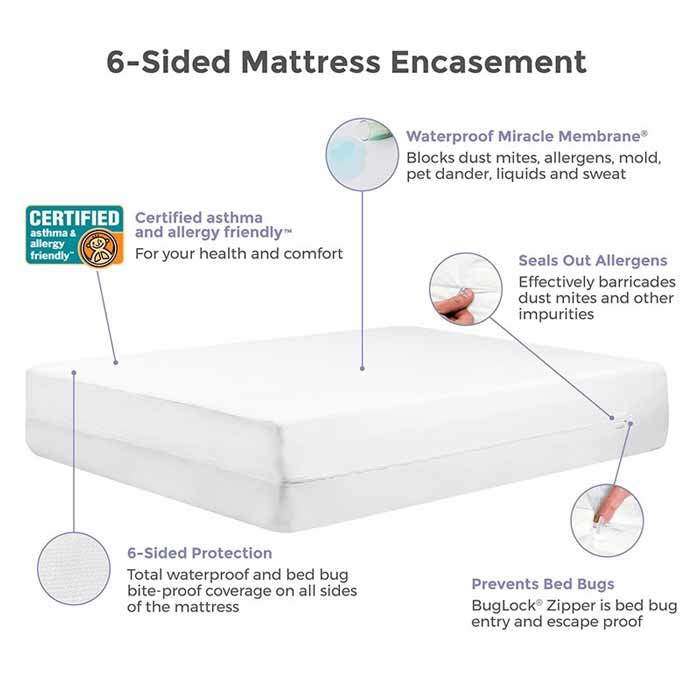 bed bug mattress encasement