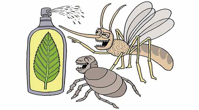 bed bug repellents natural homemade reviews