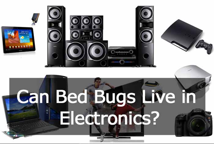 Dealing with bed bugs in electronics