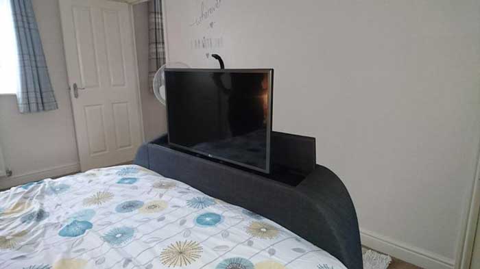 Tvs and bed bugs